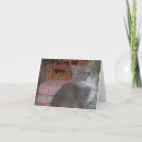 Search for funny photographer cards Picture