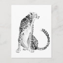 Search for cheetahs postcards Jungle