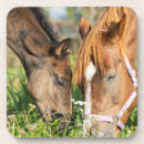 Search for colts barware Horse