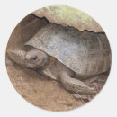 Search for gophers stickers Wildlife