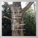 Search for arbor posters Nature