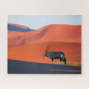 Search for namibia puzzles Sossusvlei