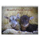 Search for farm animal calendars Lamb