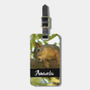 Search for furry accessories Wild animal