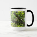 Search for mockingbird mugs Nature