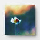 Search for ladybird gifts Red