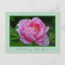 Search for floral note postcards Thinking of you