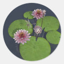 Search for lily stickers Dragonfly