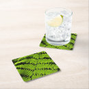 Search for green fern coasters Plant