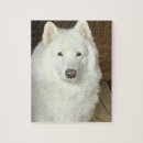 Search for samoyed puzzles Dog