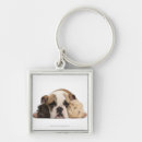 Search for puppy key rings Animals