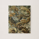 Search for chameleons puzzles Ernst haeckel