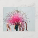 Search for flamingo flower postcards Tropical