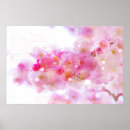 Search for cherry blossom tree posters Flower