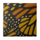 Search for wing tiles Fairy