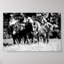 Search for ploughing posters Horse