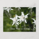 Search for alpine cards White