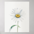 Search for daisy posters Minimalist