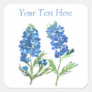 Search for vintage texas stickers Nature