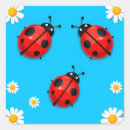 Search for blue ladybird stickers Nature