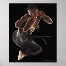 Search for martial arts posters Sport