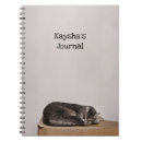 Search for cat box Grey