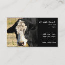 Search for moo business cards Bovine