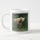 Search for big brown bear mugs Animals in the wild