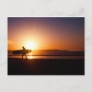 Search for surf board postcards Sunset