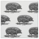 Search for pig fabric Illustration