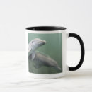 Search for balancer mugs Animals