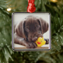 Search for chocolate lab christmas tree decorations Cute