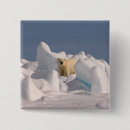 Search for threatened square badges Animal