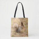 Search for squirrel photo bags Nature
