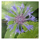 Search for cornflower blue tiles Flowers