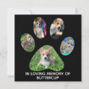 Search for loss of pet sympathy cards In loving memory