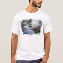 Search for piranha Underwater