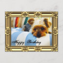Search for yorkie lover cards Animal