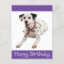 Search for dalmatian dog birthday cards Puppy