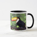 Search for rain bird mugs Tropical