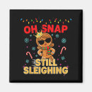 Search for sleighing magnets Reel