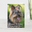 Search for funny yorkie cards Animal