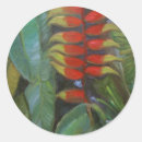Search for heliconia stickers Tropical