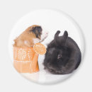 Search for furries magnets Pig