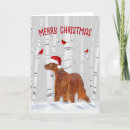 Search for birch christmas cards Winter