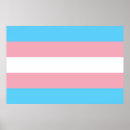 Search for lgbt flag posters Transgender