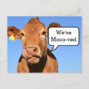 Search for cow moving announcement cards Rustic