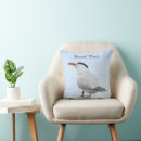 Search for terns Bird