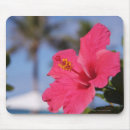 Search for away from mouse mats Vacations