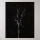 Search for birch bark posters Orange